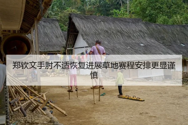 郑钦文手肘不适恢复进展草地赛程安排更显谨慎