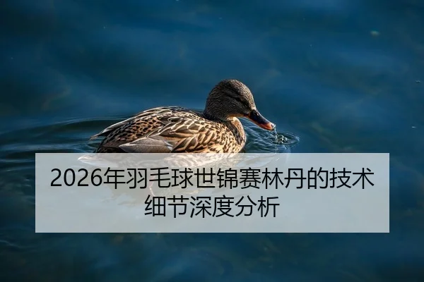 2026年羽毛球世锦赛林丹的技术细节深度分析