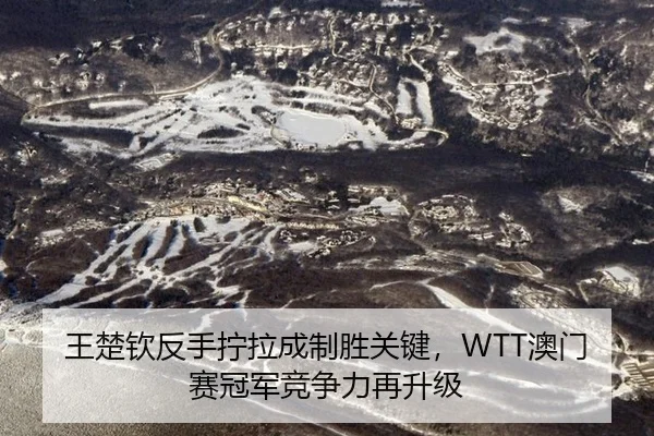 wang-chu-qin-fan-shou-ning-la-cheng-zhi-sheng-guan-jian-ao-men-sai-guan-jun-jing-zheng-li-zai-sheng-ji-2-975.jpg